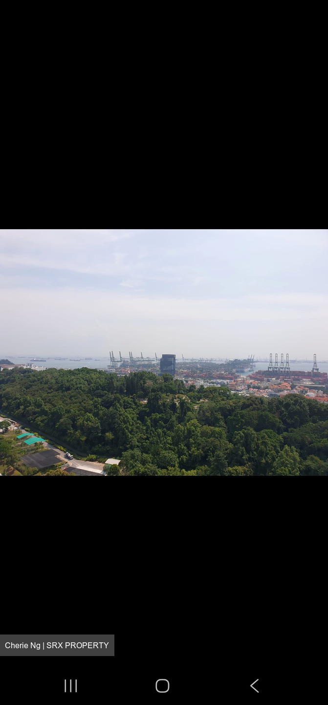 Normanton Park (D5), Apartment #549684351